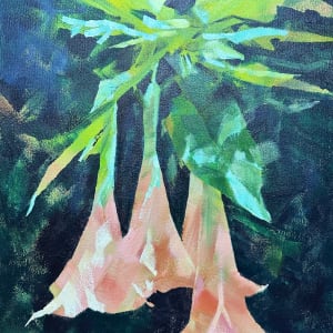Peach Datura Bells by Susan Clare
