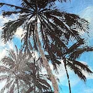 Sky Palms by Susan Clare