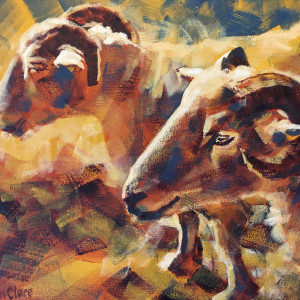 'Looking Sheepish?' by Susan Clare 