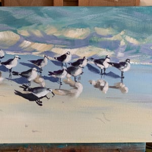 Eleven Little Gulls by Susan Clare 