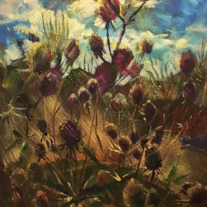 Teasels at Hyde Hall by Susan Clare