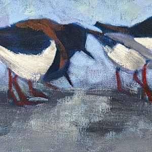 Turnstones 2 by Susan Clare
