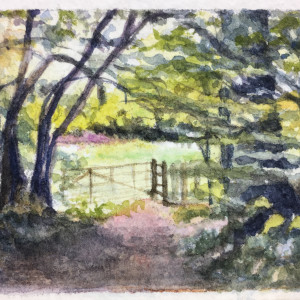 Woodland Gate by Susan Clare