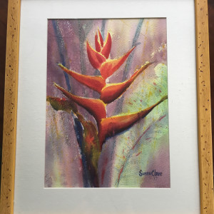 Single Heliconia by Susan Clare 