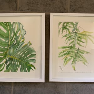 Two Monstera Leaves by Susan Clare 