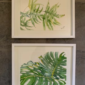 Two Monstera Leaves by Susan Clare 