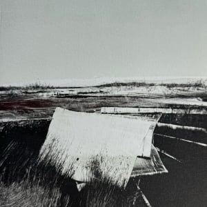 Unknown Debris by Kris Ekstrand