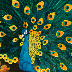 b) Peacock Sam by Kathleen Katon Tonnesen 