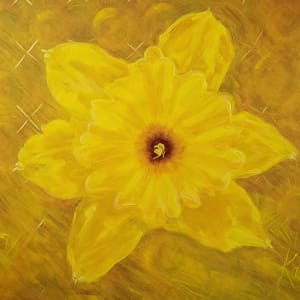 A1) Daffodil by Kathleen Tonnesen