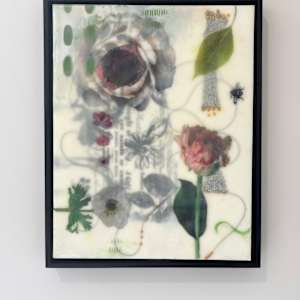 Blossom #10 by Sally Hootnick 