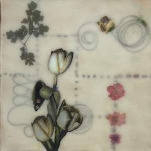 Garden Suite #1 by Sally Hootnick, Image 1.