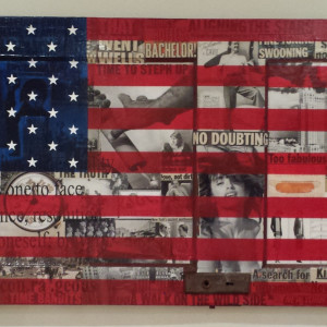 American Flag (2014) by Peter Tunney