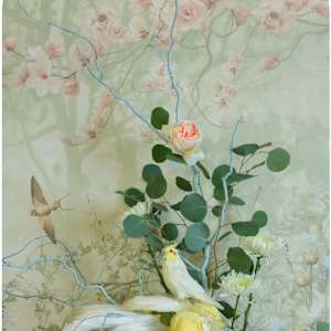 Cockatiel with Broccoli Nesting by JP Terlizzi