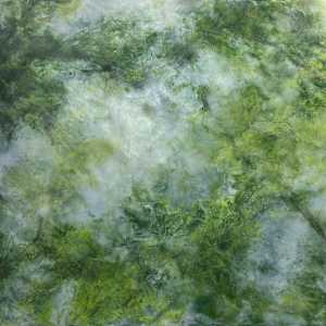 Orr - Small Study no. 3 by Kim Amell