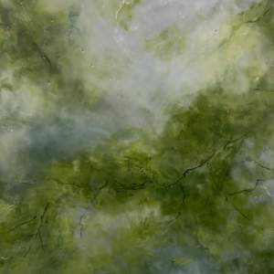 Orr - Small Study no. 3 by Kim Amell 