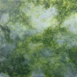 Orr - Small Study no. 4 by Kim Amell