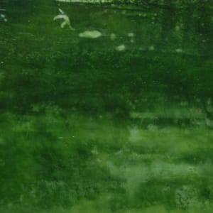 Green Water No. 4 by Kim Amell     