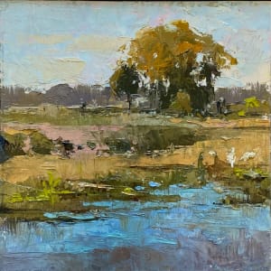 Pond At Celery Field by Katie Dobson Cundiff