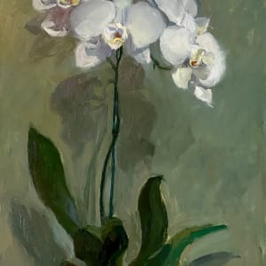 White Orchid Elegance by Katie Dobson Cundiff