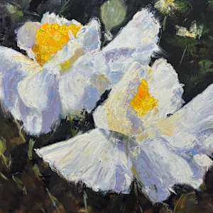 Off The Porch by Claudia Lima