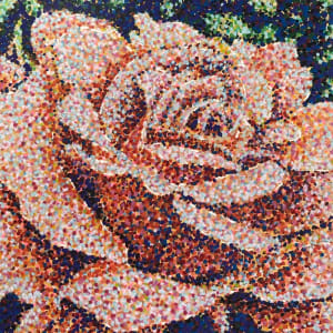 Frilly Edges by Rebecca Bangs, Image 2.