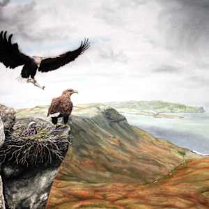 SEA EAGLES by Dave P. Cooper, Image 1.