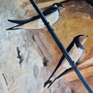 SWALLOWS IN THE SHADE by Dave P. Cooper 