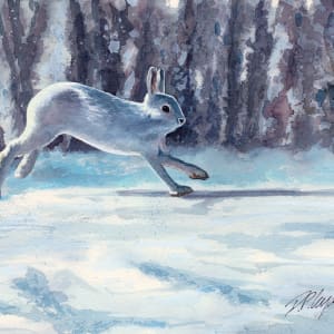 WINTER HARE by Dave P. Cooper
