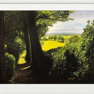 VIEW FROM CRAYKE LANE by Dave P. Cooper 