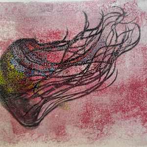 Black Sea Nettle by Scott D.S. Young 