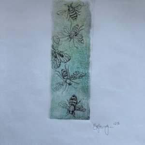 Insects by Scott D.S. Young 