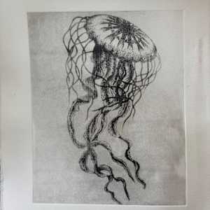 Jellyfish by Scott D.S. Young  Image: First run