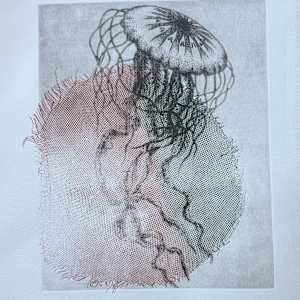 Jellyfish by Scott D.S. Young  Image: Second run adding texture color