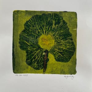 Floral by Scott D.S. Young 