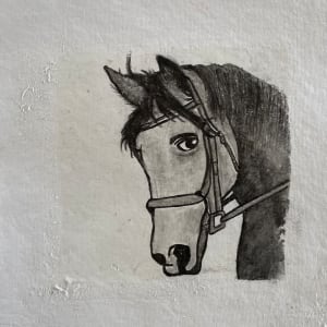 Horse with no name by Scott D.S. Young  Image: Charcoal drawing, and printed on Gelli Plate
On handmade white paper