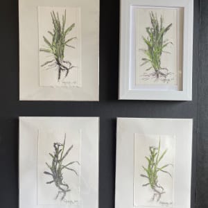 Devil Spark by Scott D.S. Young 