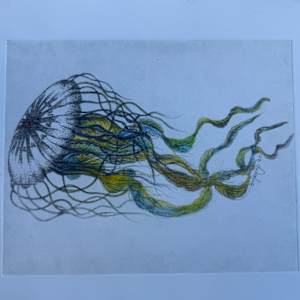 Atlantic sea nettle by Scott D.S. Young  Image: The Atlantic sea nettle (Chrysaora quinquecirrha), also called the East Coast sea nettle in the United States, is a species of jellyfish that inhabits the Atlantic coast of the United States.