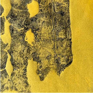 Movement and Stillness by Scott D.S. Young  Image: Close up