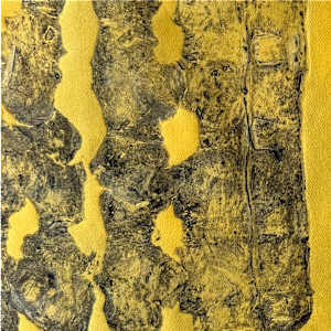 Movement and Stillness by Scott D.S. Young  Image: Close up