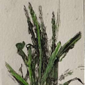 Devil Spark by Scott D.S. Young  Image: close up 2