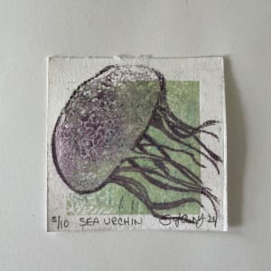 Squid life by Scott D.S. Young  Image: Third option. I like the purple against the green. This is a slight blue in the background layer.