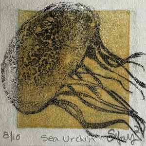 Black JellyFish by Scott D.S. Young 