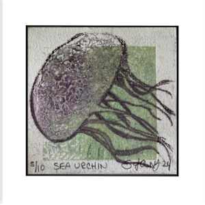 Black JellyFish by Scott D.S. Young, Image 2.