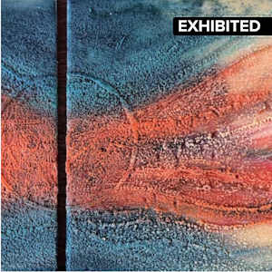 Sea Urchin by Scott D.S. Young