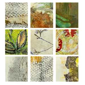 Trace Elements - Greeting Cards by Scott D.S. Young 