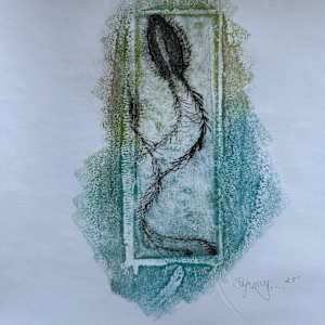 Squid by Scott D.S. Young 