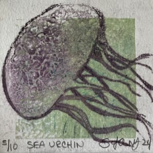 Black JellyFish by Scott D.S. Young 