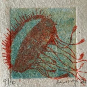 Black JellyFish by Scott D.S. Young 