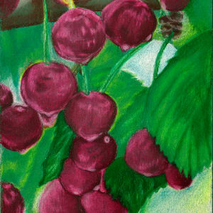 Joni Cape Dress - Door County Cherries by Barbara J Zipperer  Image: art for the dress