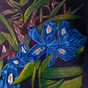 Dwarf Lake Iris by Barbara J Zipperer